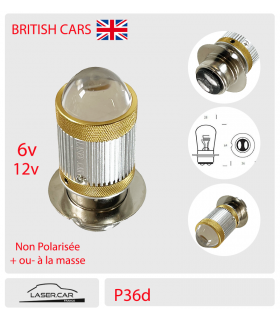 P36D - 6 à 24V NON POLARISEE