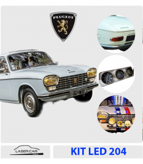 KIT PEUGEOT 204