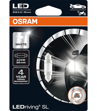 NAVETTE (C5W) 36mm COOL WHITE 6000K 12V